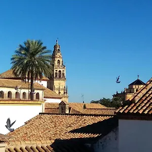 La Mirada De La Judería Apartamento Córdoba